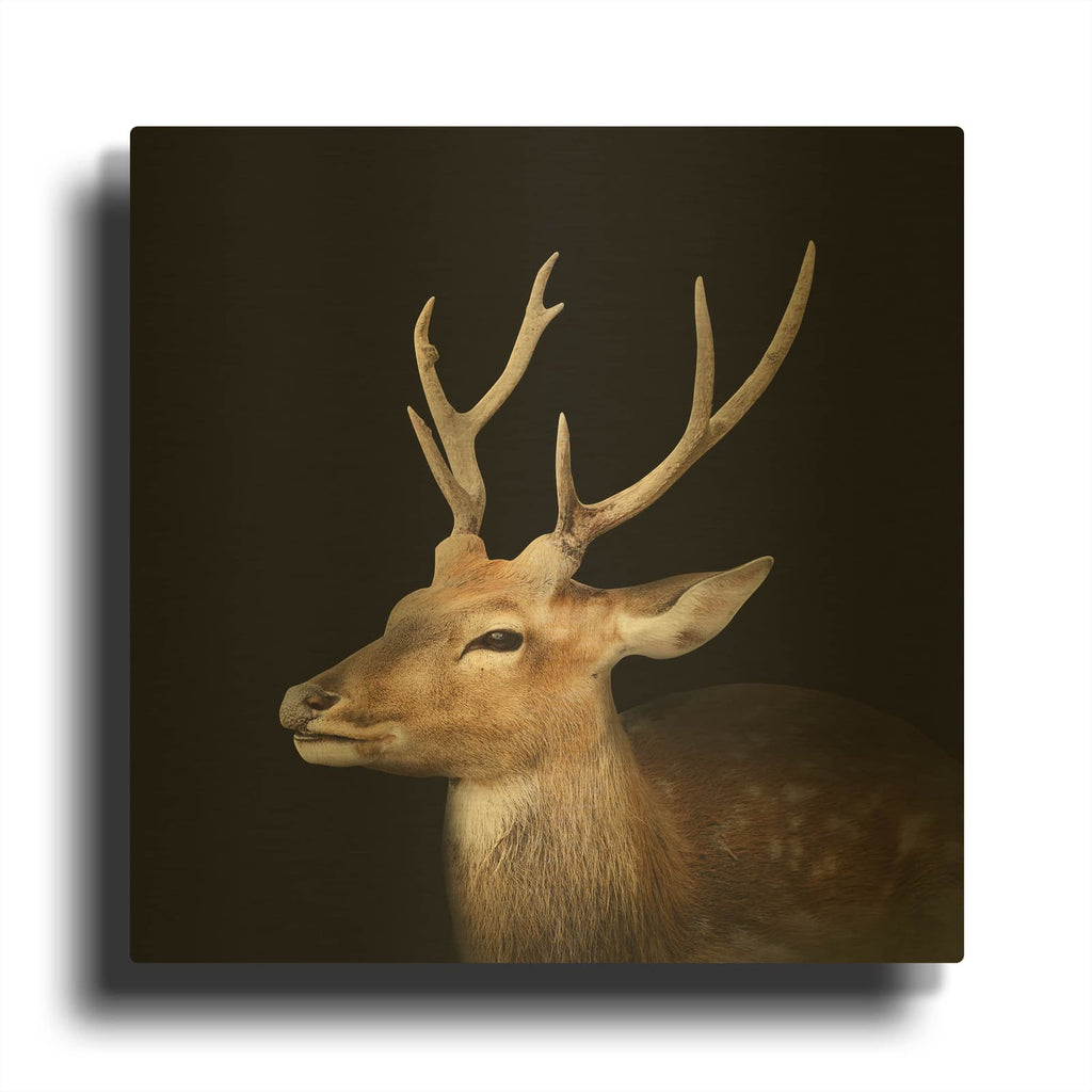 'Sika Deer' By Luxe Gold Metal Wall Art