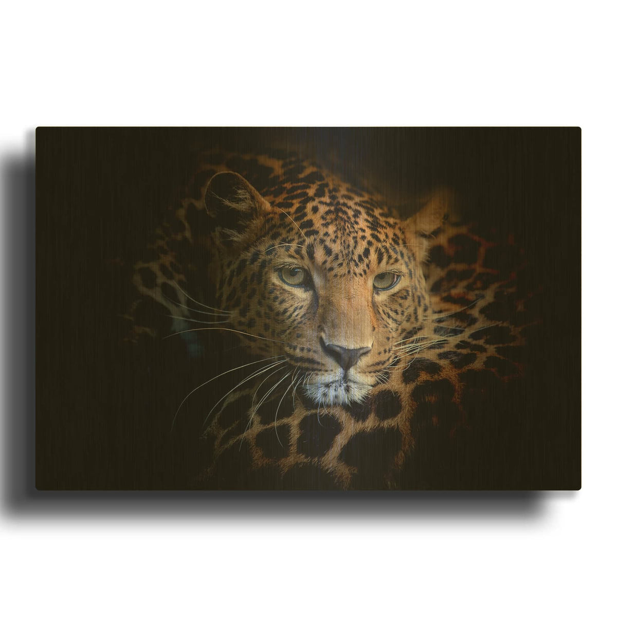 'Sleepy Leopard' By Luxe Gold Metal Wall Art