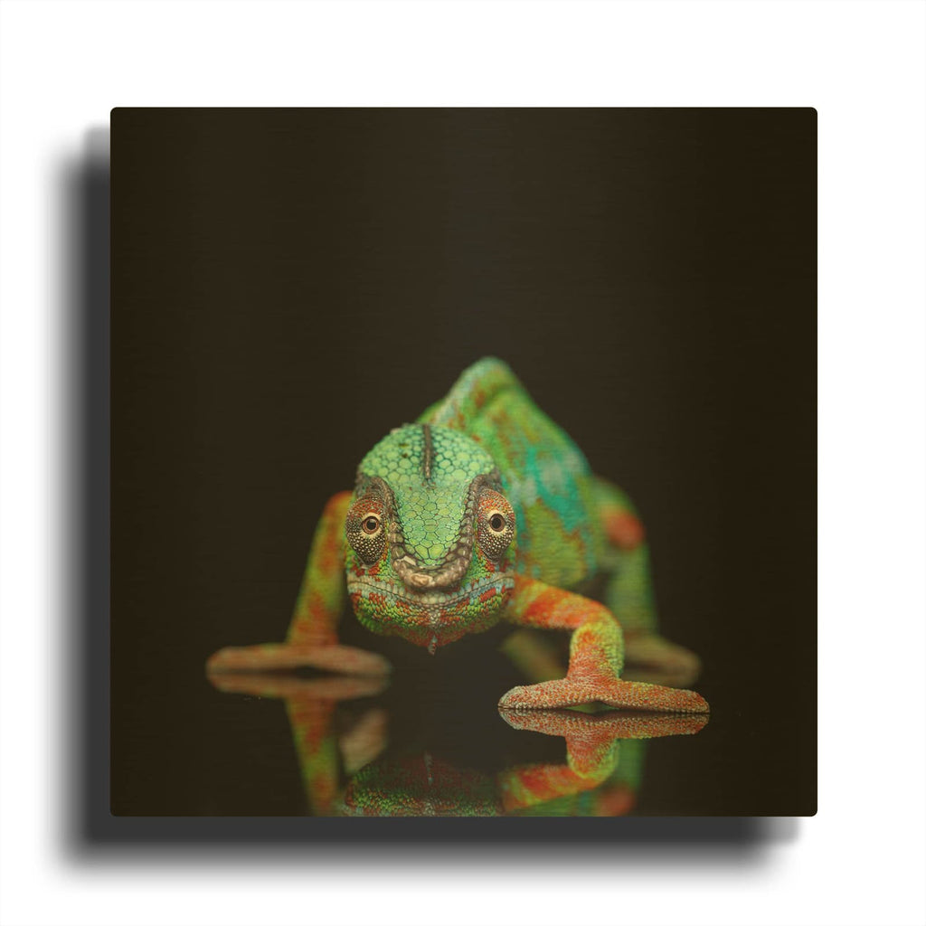 'Sneaky Cameleon' By Luxe Gold Metal Wall Art