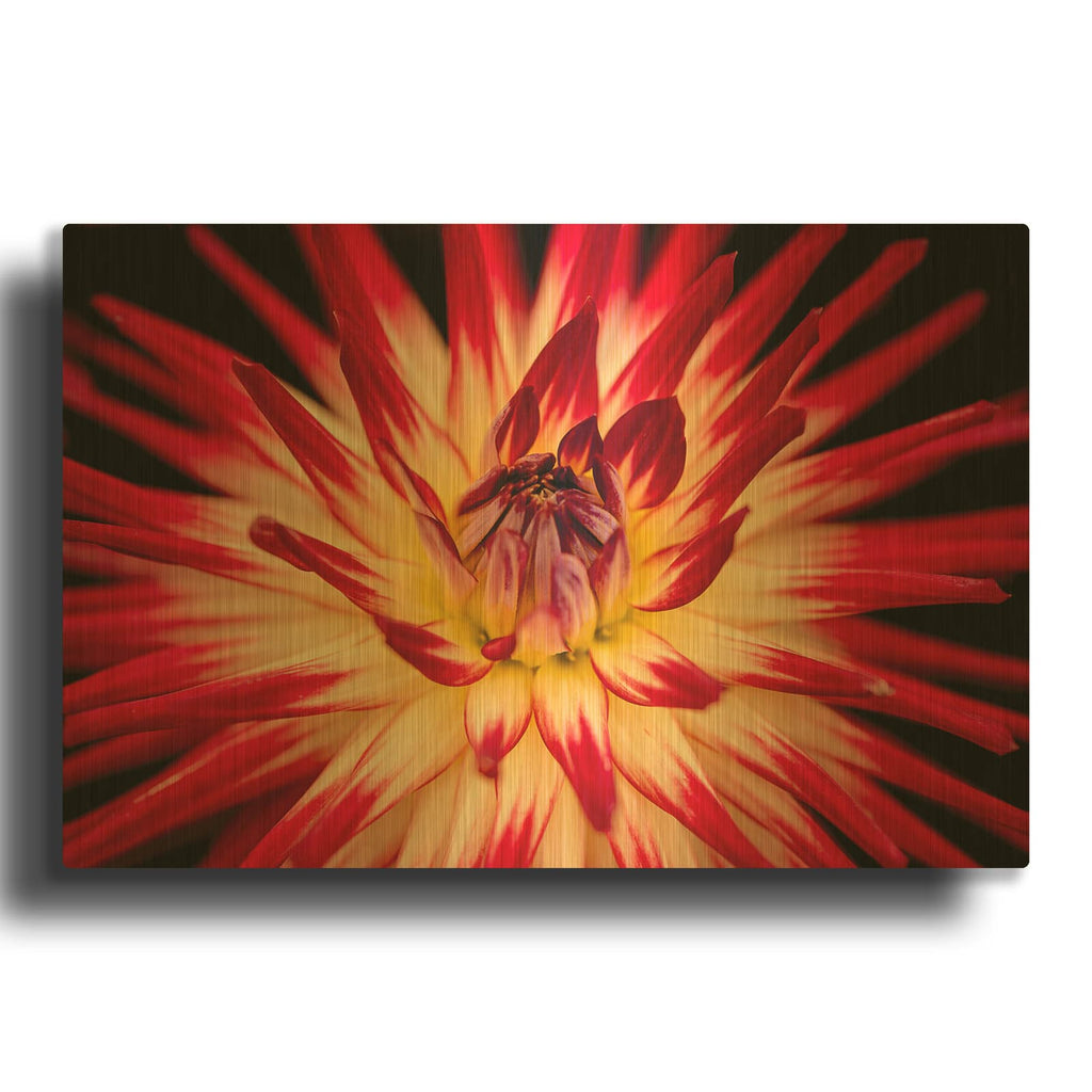 'Sunfire' By Luxe Gold Metal Wall Art