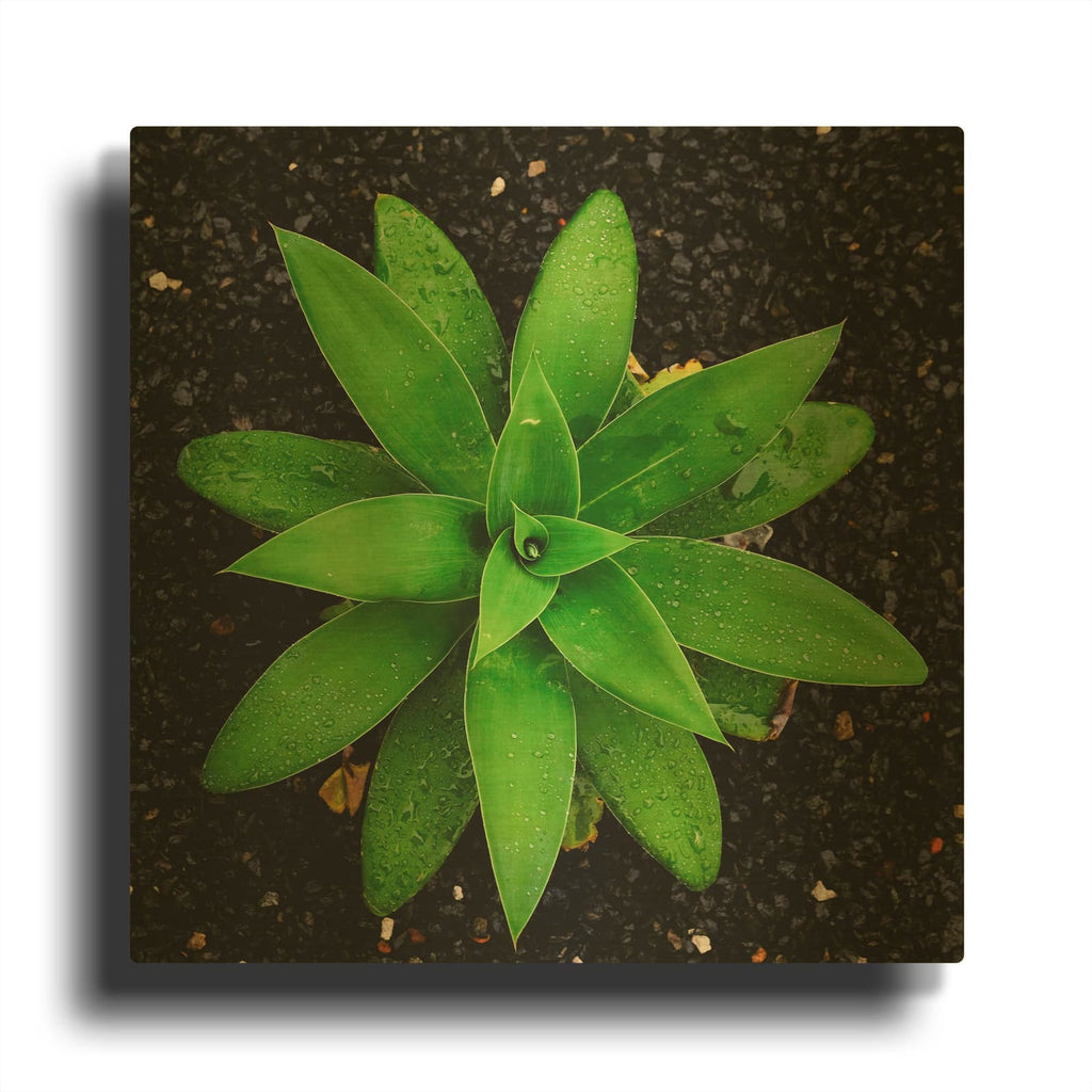 'The Green Bloom Crop' By Luxe Gold Metal Wall Art