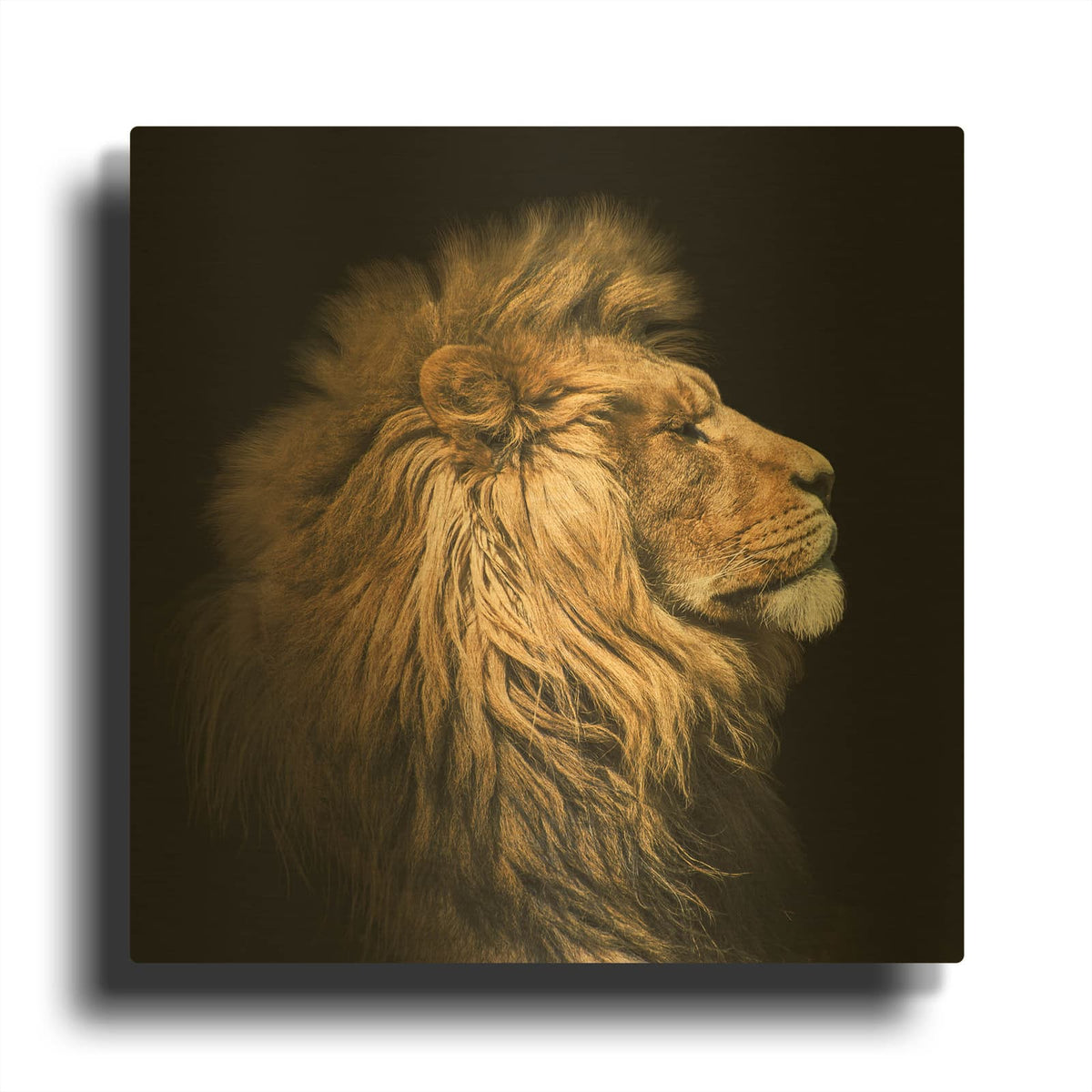 'The King Of The Jungle' By Luxe Gold Metal Wall Art