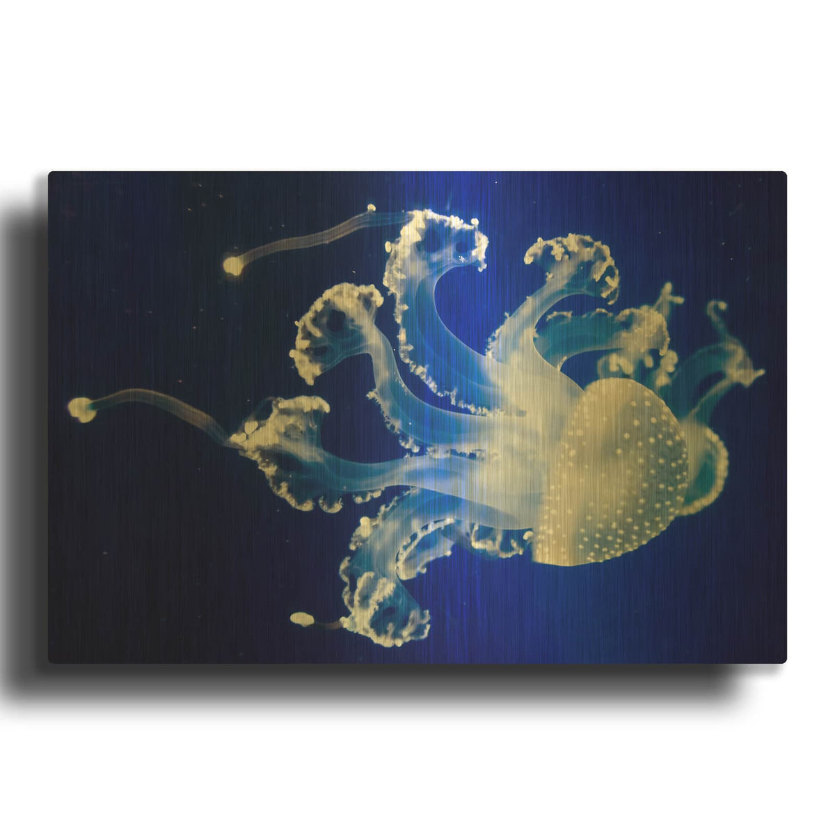 'Translucent Jellyfish' By Luxe Gold Metal Wall Art