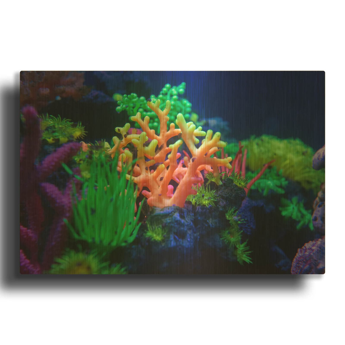 'Underwater Amazons' By Luxe Gold Metal Wall Art