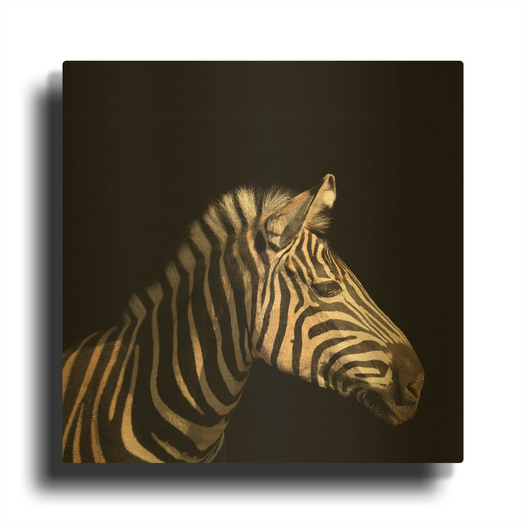 'Zebra' By Luxe Gold Metal Wall Art