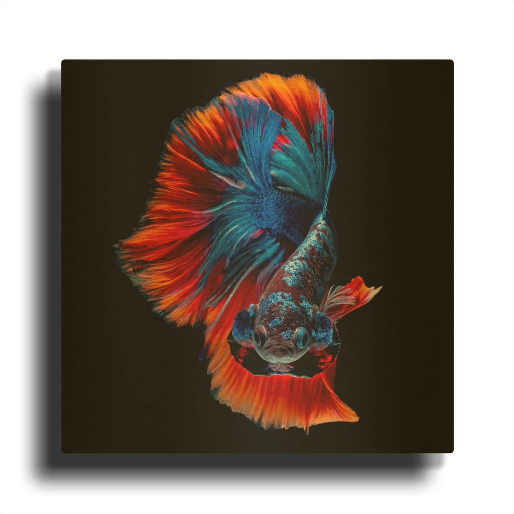 'Flamenco Fighter' By Luxe Gold Metal Wall Art