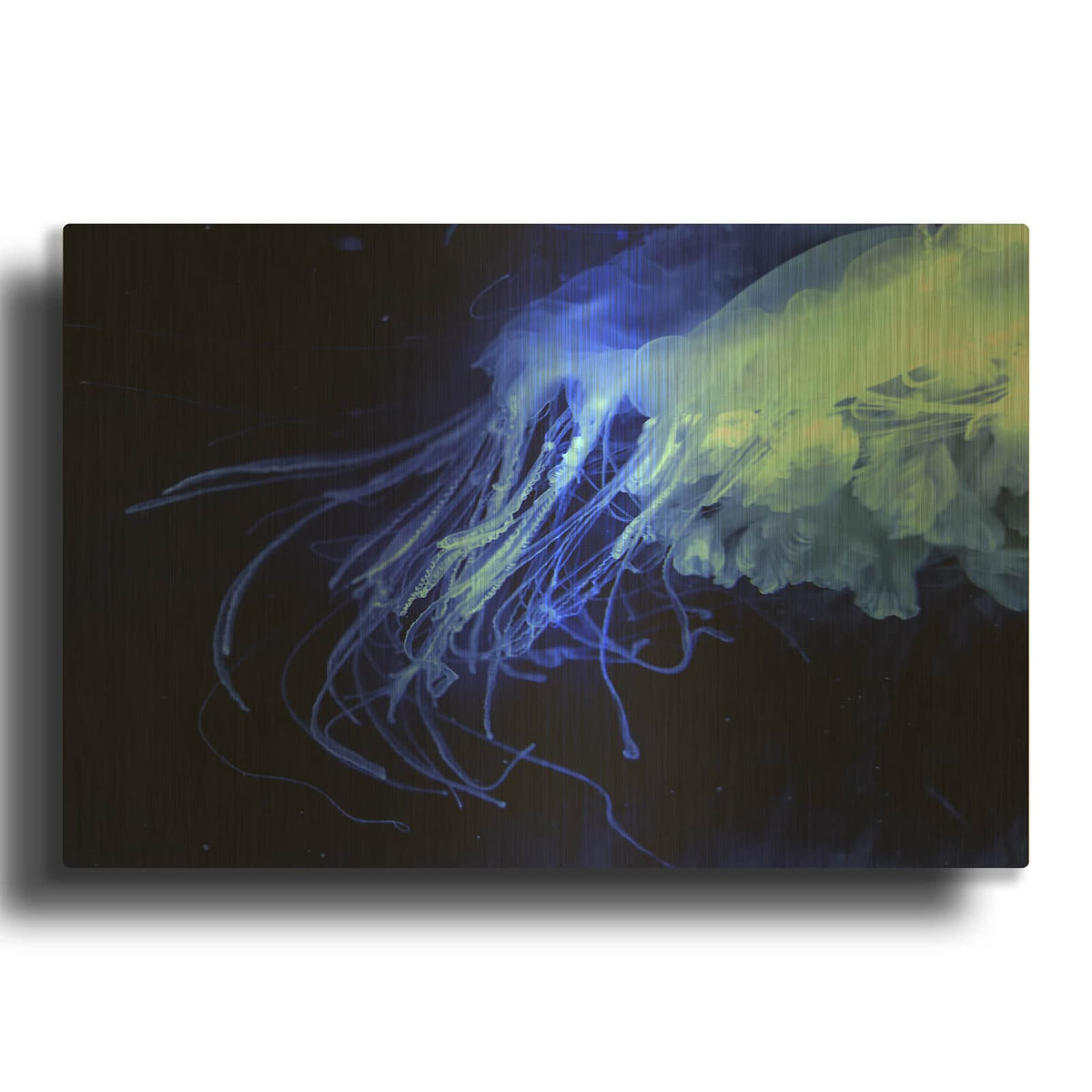 'Preditor' By Luxe Gold Metal Wall Art