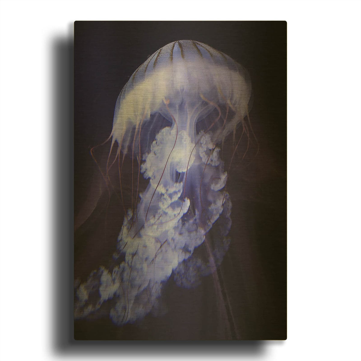 'Gelatinaous, One' By Steve Hunziker Gold Metal Wall Art