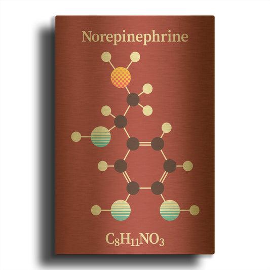 'Norepinephrine Molecule 2' By Maxim Gold Metal Wall Art