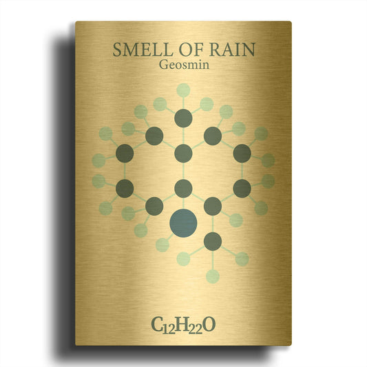 'Smell Of Rain Molecule' By Maxim Gold Metal Wall Art