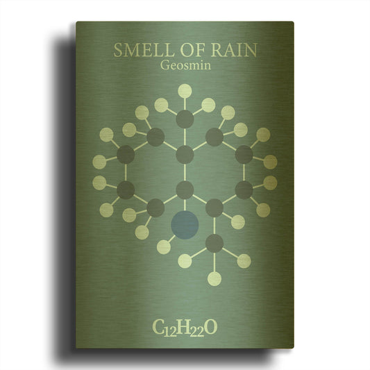 'Smell Of Rain Molecule 2' By Maxim Gold Metal Wall Art