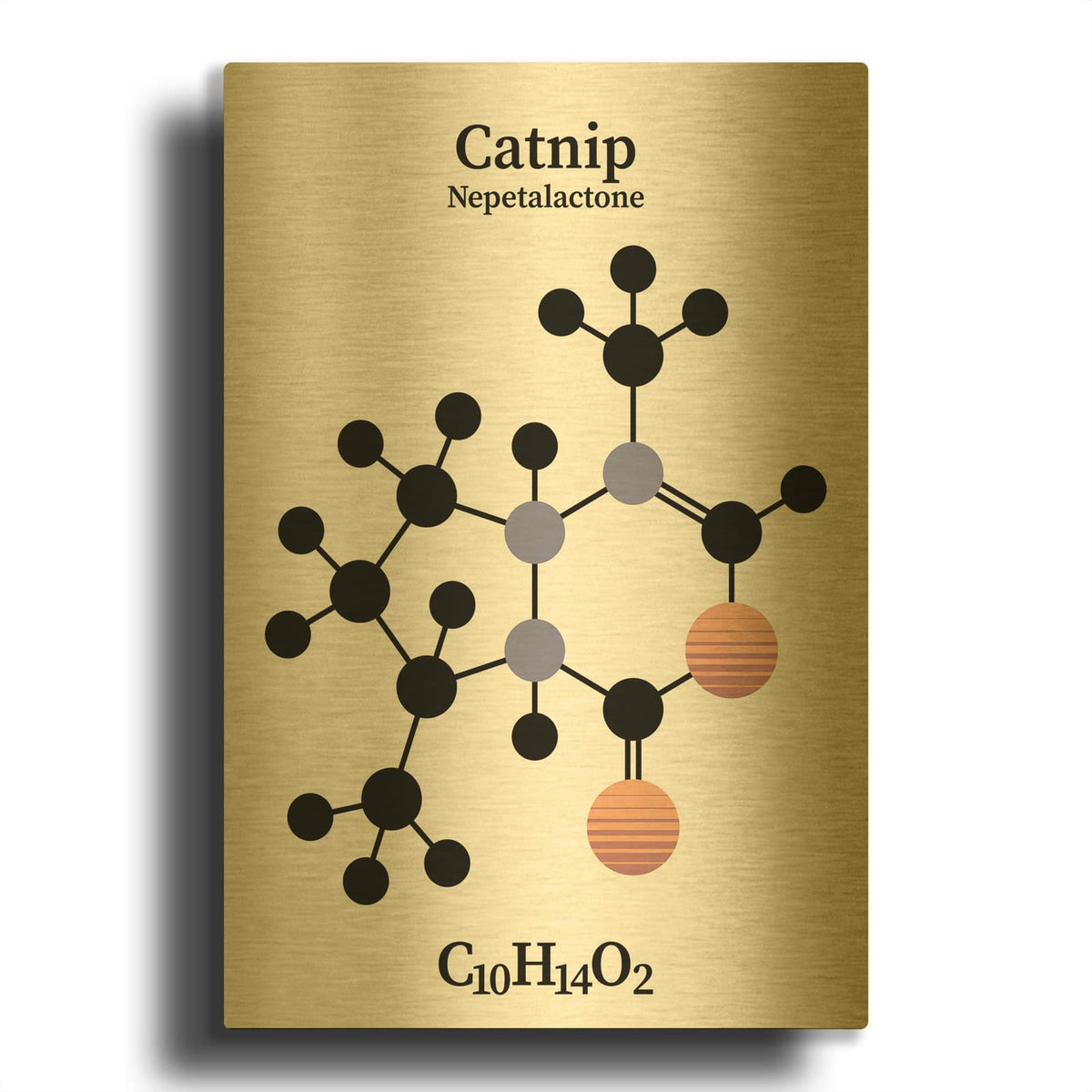 'Catnip Molecule' By Maxim Gold Metal Wall Art