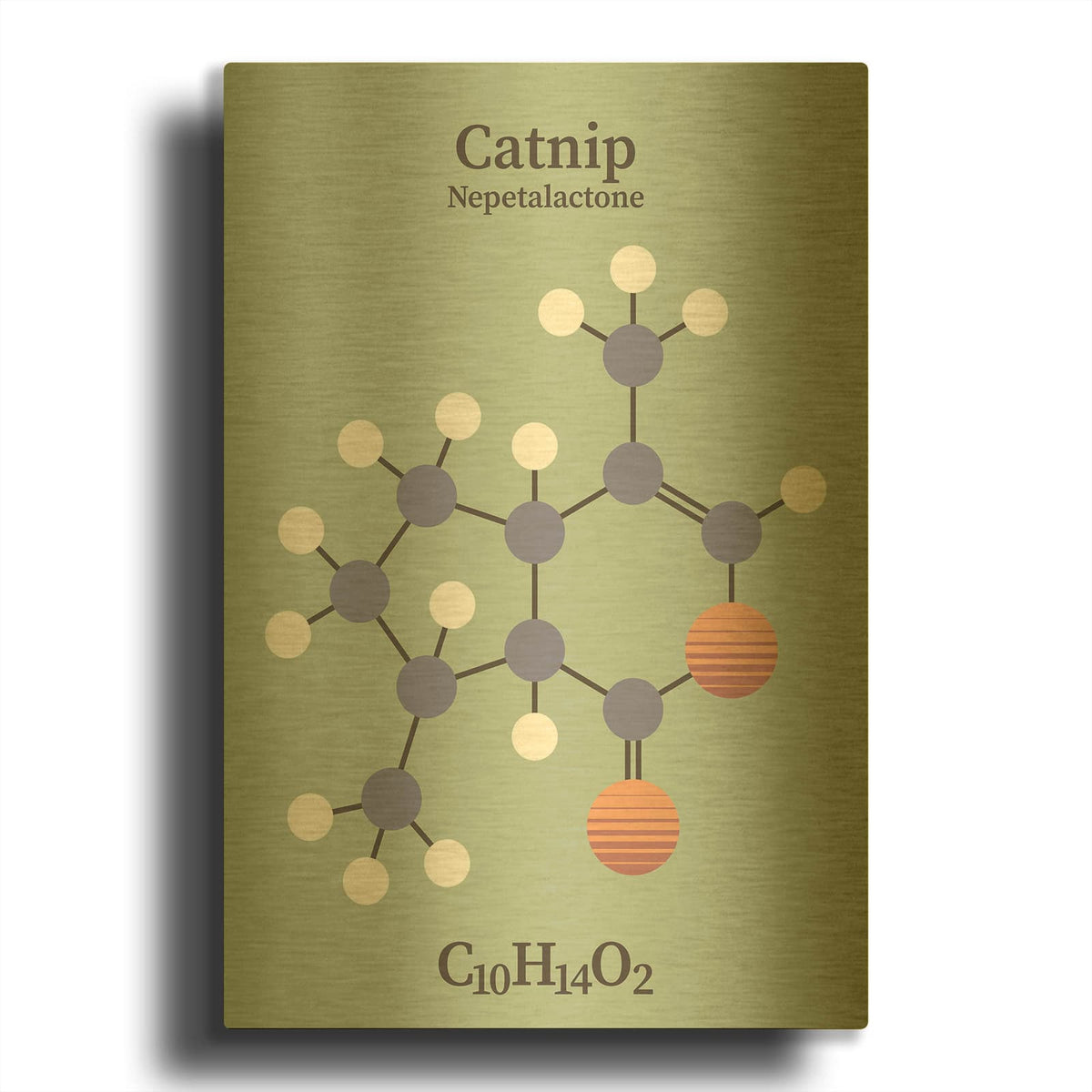 'Catnip Molecule 2' By Maxim Gold Metal Wall Art