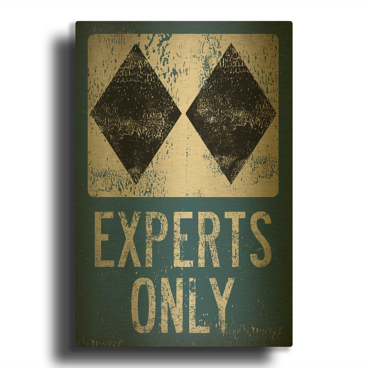 'Experts Only Blue' By Ryan Fowler Gold Metal Wall Art