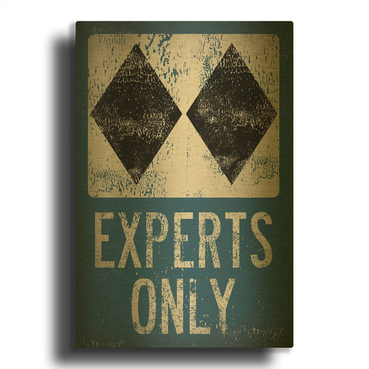 'Experts Only Blue' By Ryan Fowler Gold Metal Wall Art