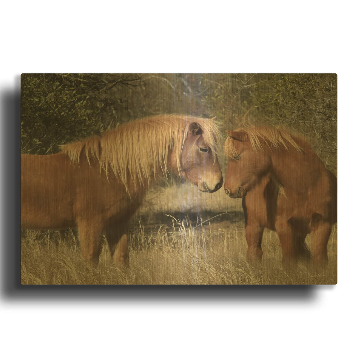 'Assateague Horses III' By Lori Deiter Gold Metal Wall Art
