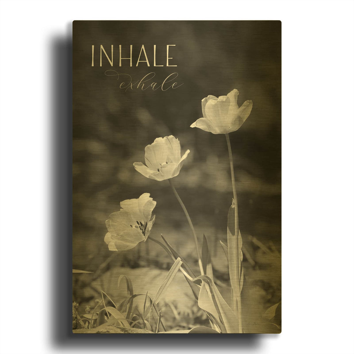 'Inhale, Exhale' By Lori Deiter Gold Metal Wall Art