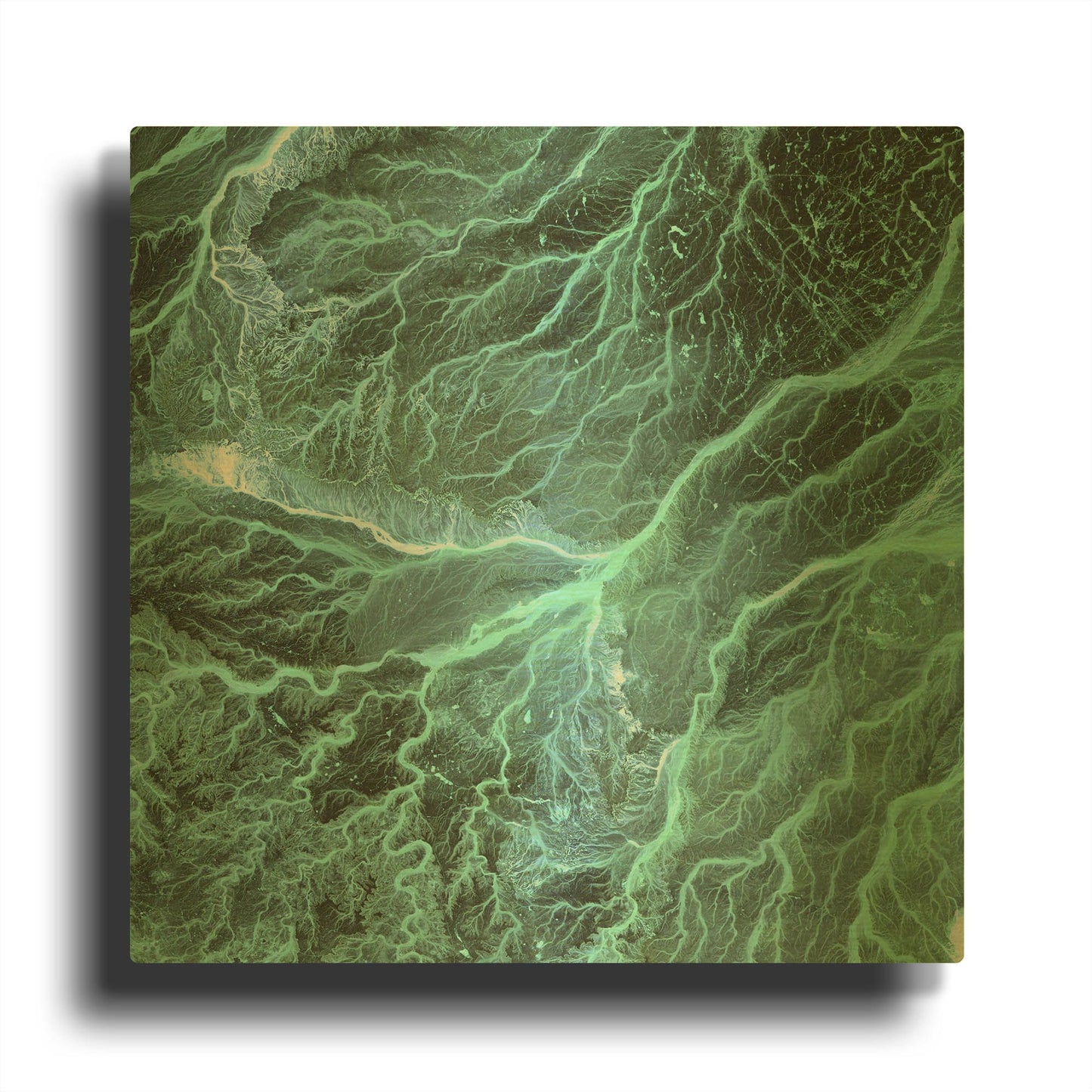 'Earth As Art Wadi Branches' By NASA Earth As Art Gold Metal Wall Art