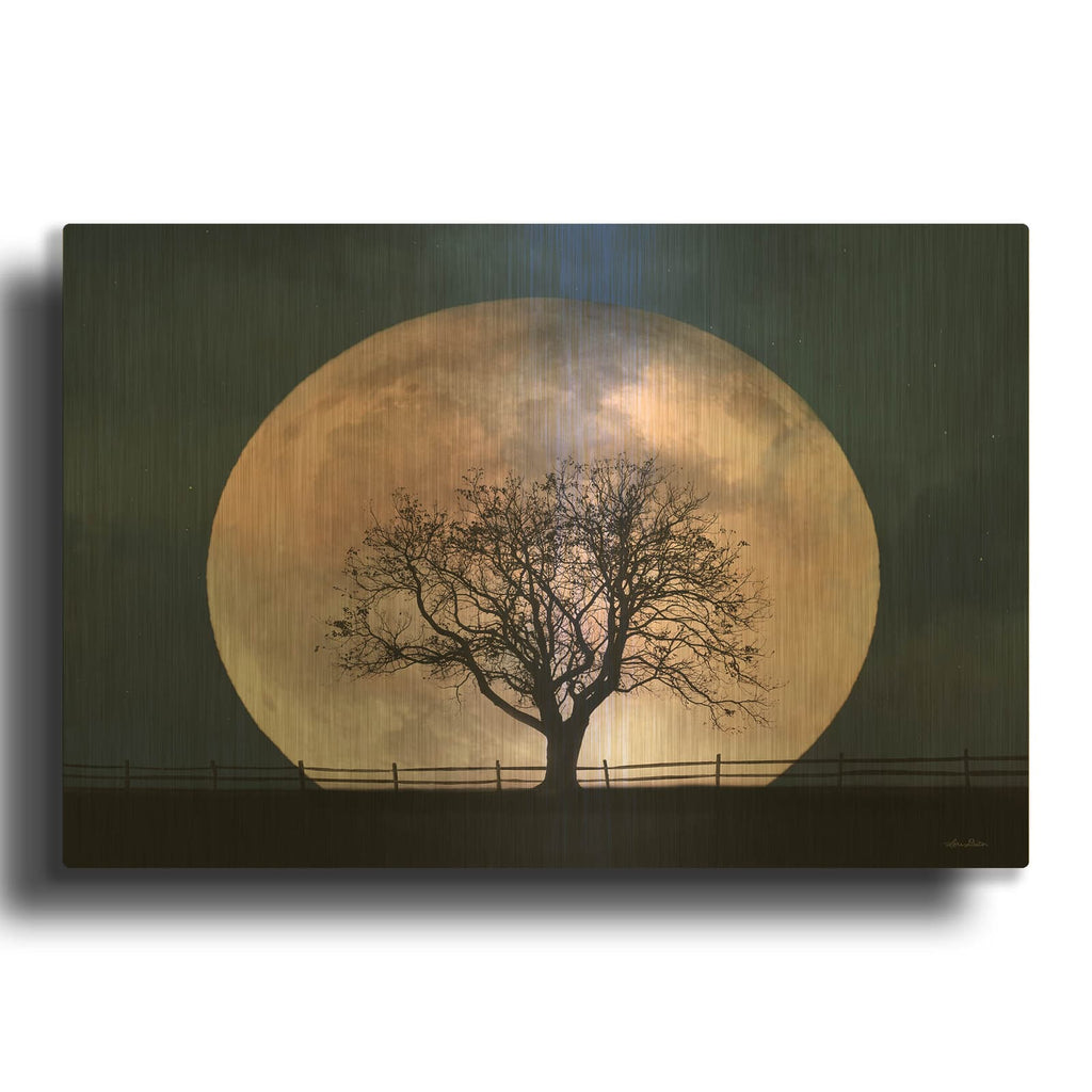 'Glowing Moonrise' By Lori Deiter Gold Metal Wall Art