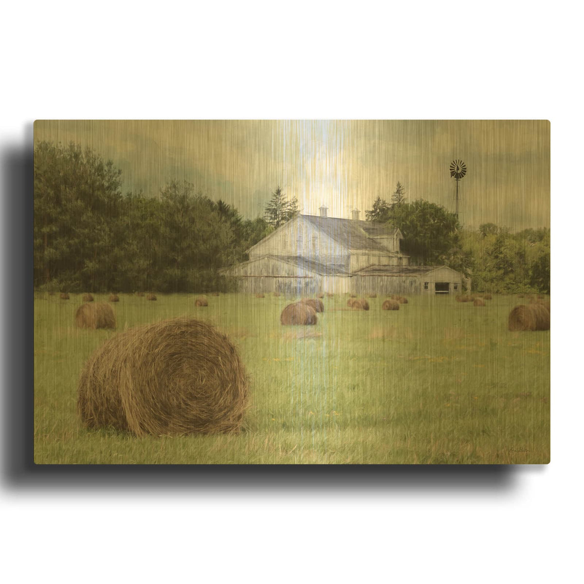 'Summer Bounty' By Lori Deiter Gold Metal Wall Art