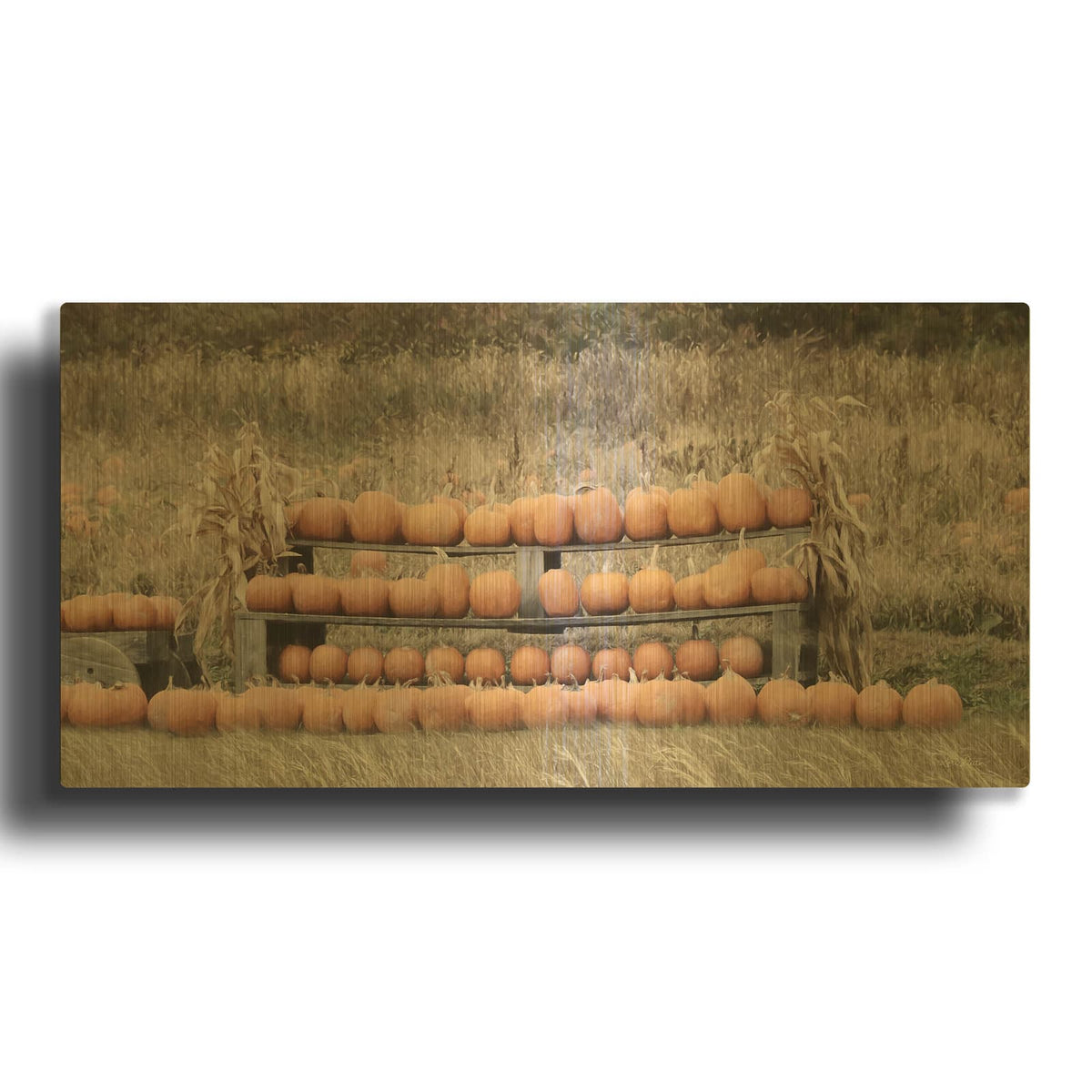 'Pumpkin Picking' By Lori Deiter Gold Metal Wall Art