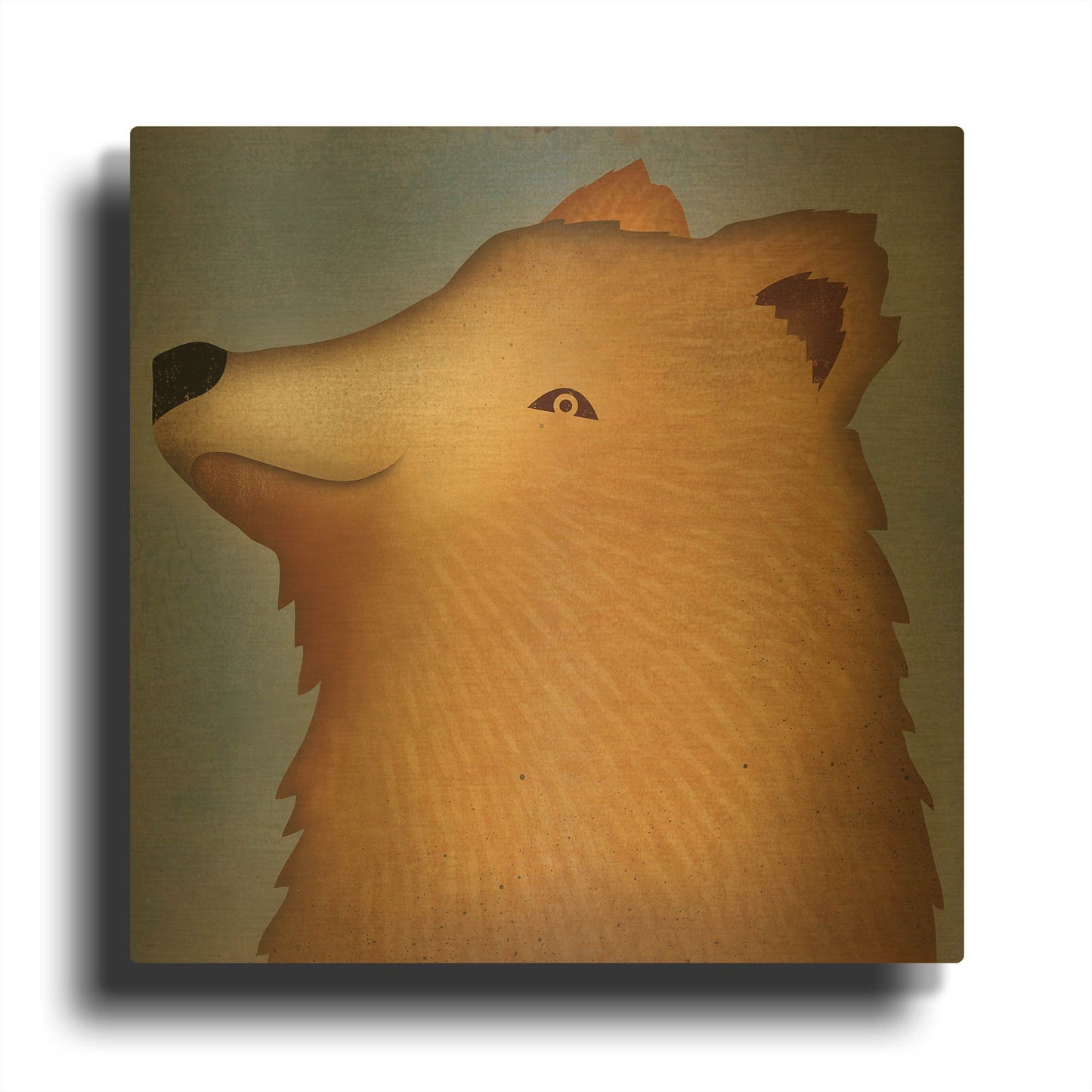 'Brown Bear Wow' By Ryan Fowler Gold Metal Wall Art