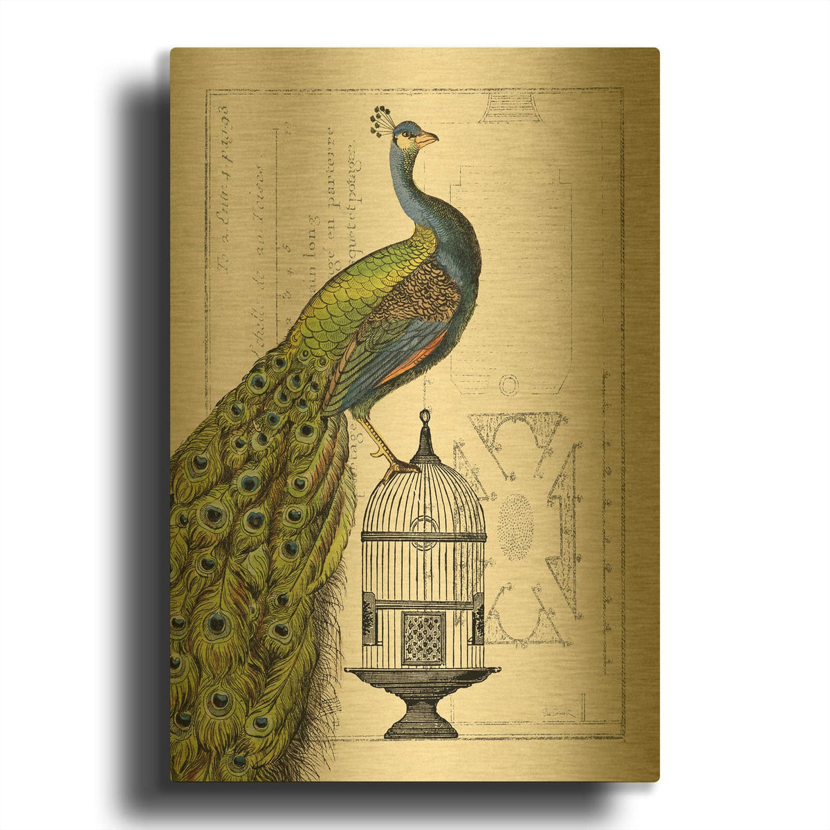 'Peacock Birdcage I' By Sue Schlabach Gold Metal Wall Art