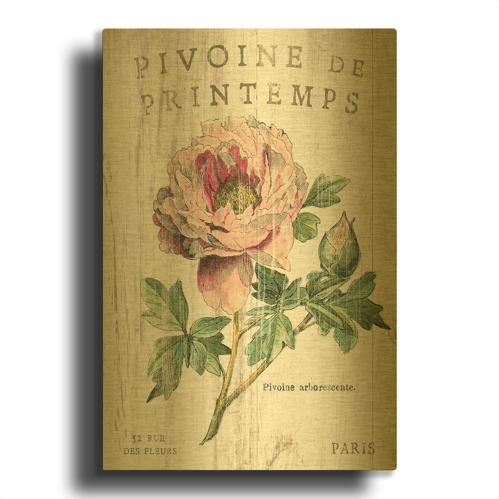 'Pivoine de Printemps' By Sue Schlabach Gold Metal Wall Art