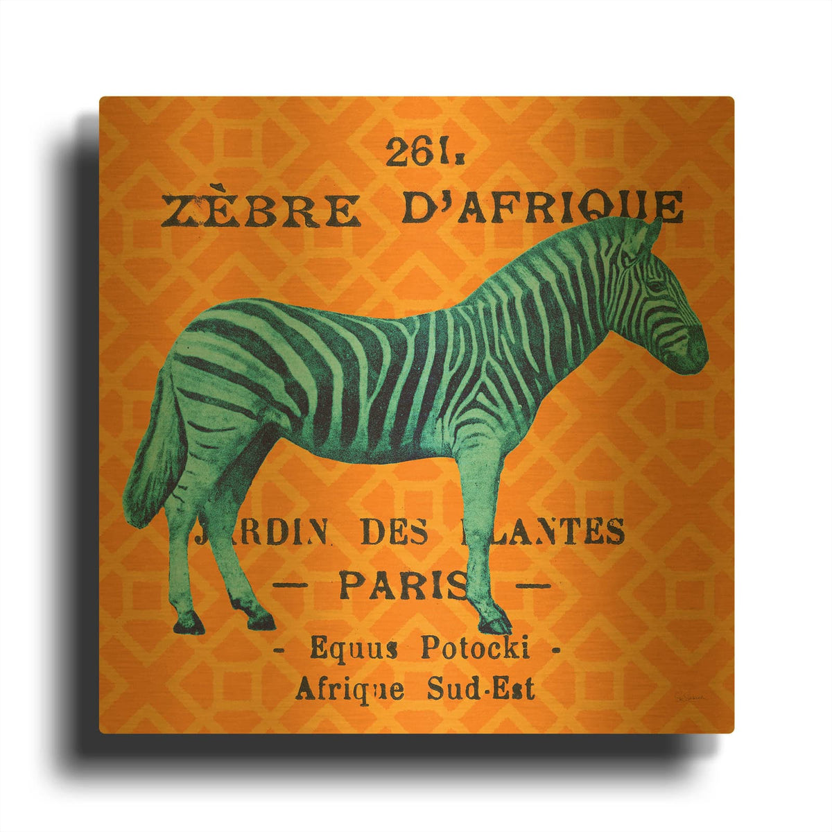 'Bright Safari Zebra' By Sue Schlabach Gold Metal Wall Art