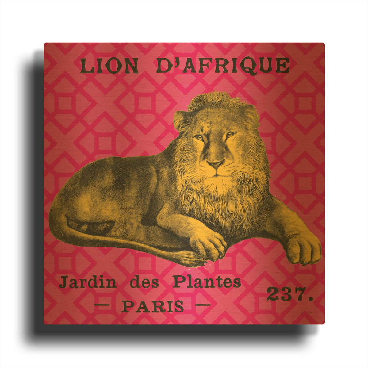'Bright Safari Lion' By Sue Schlabach Gold Metal Wall Art