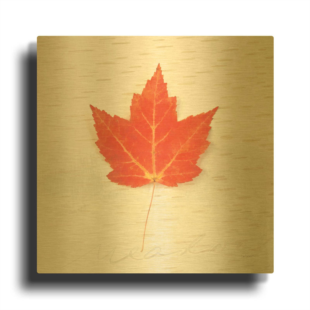 'Autumn Colors I' By Sue Schlabach Gold Metal Wall Art