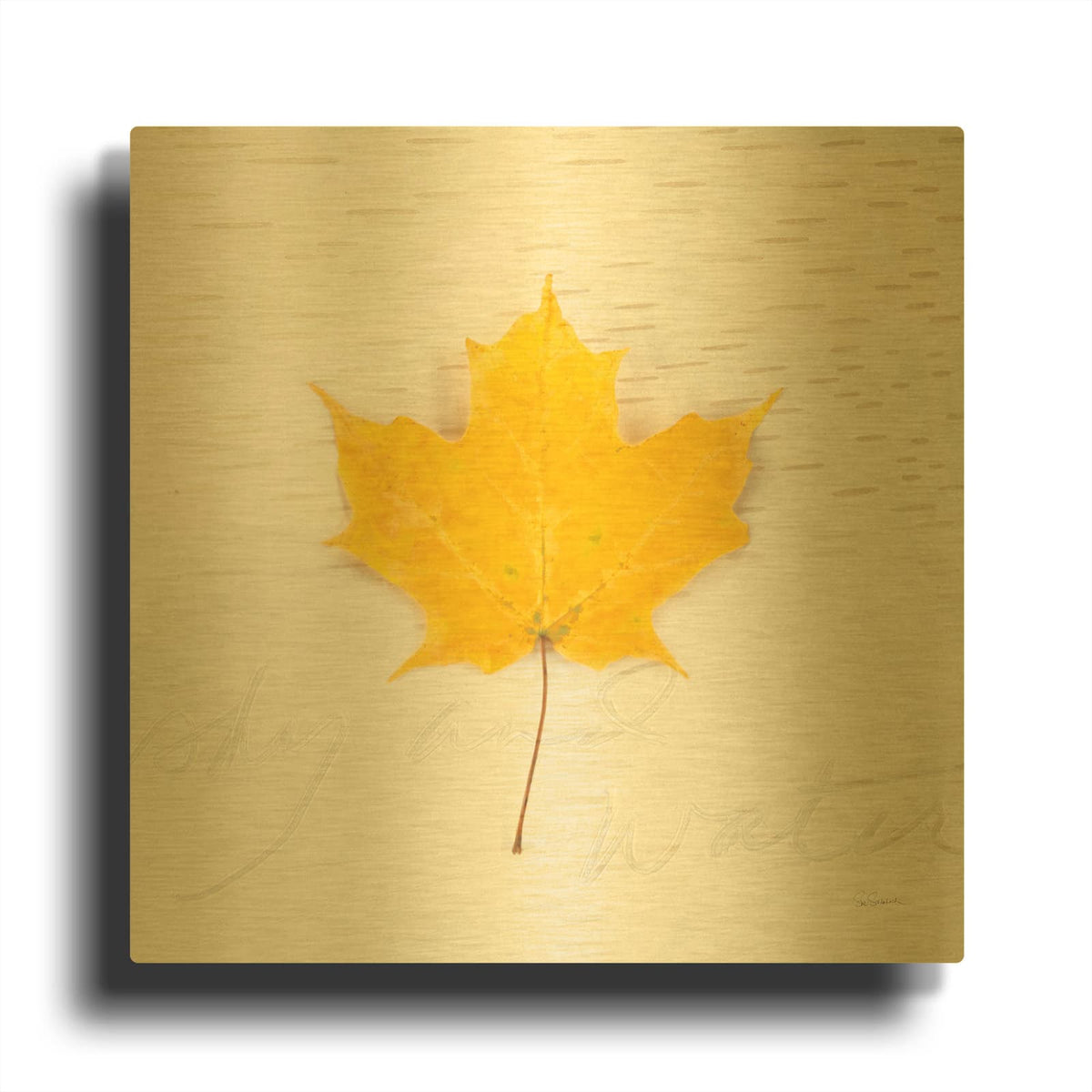 'Autumn Colors II' By Sue Schlabach Gold Metal Wall Art