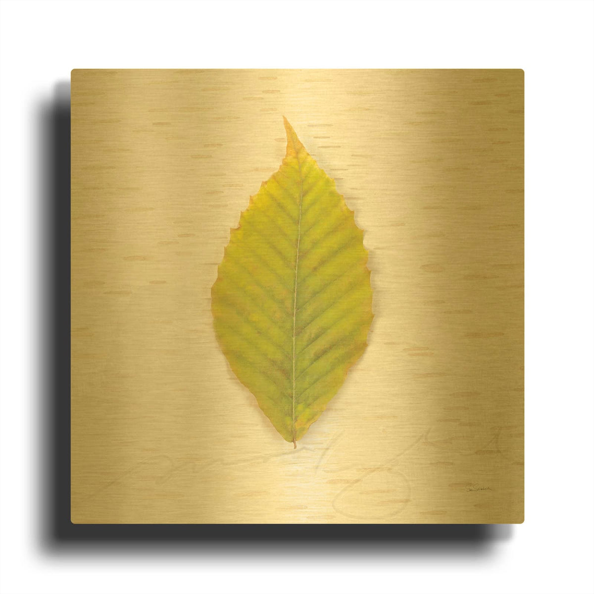 'Autumn Colors IV' By Sue Schlabach Gold Metal Wall Art
