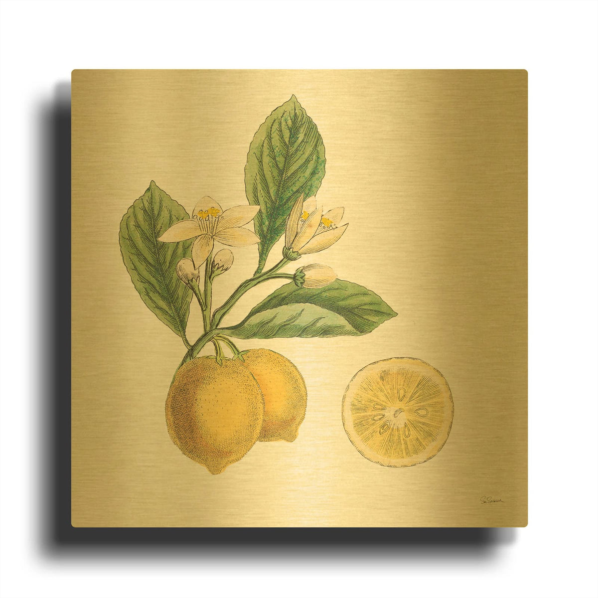 'Classic Citrus I' By Sue Schlabach Gold Metal Wall Art