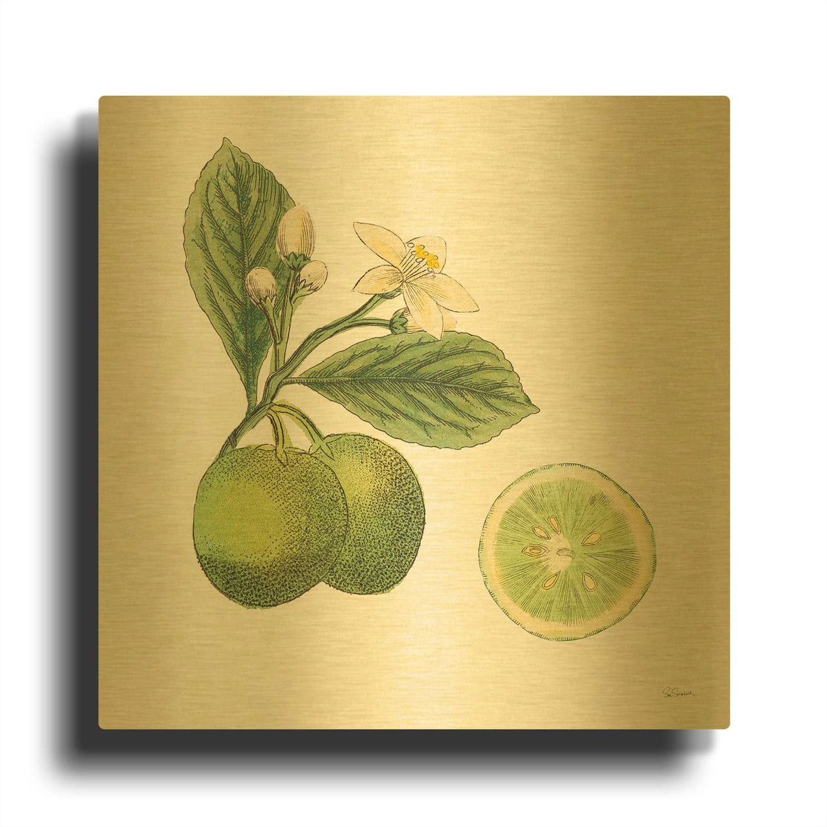'Classic Citrus III' By Sue Schlabach Gold Metal Wall Art
