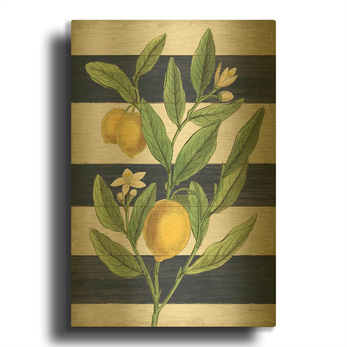 'Classic Citrus V Navy Shiplap NW' By Sue Schlabach Gold Metal Wall Art