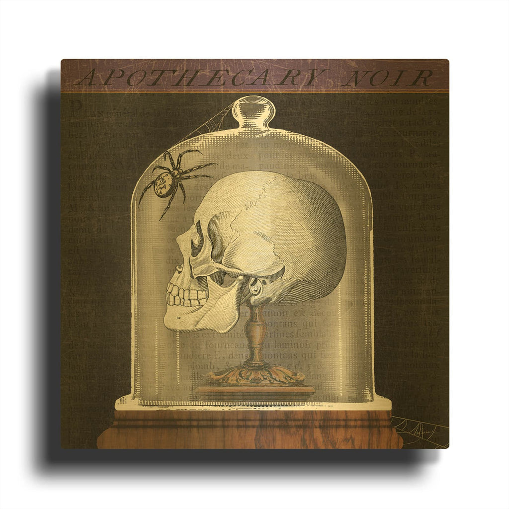 'Apothecary Noir II' By Sue Schlabach Gold Metal Wall Art