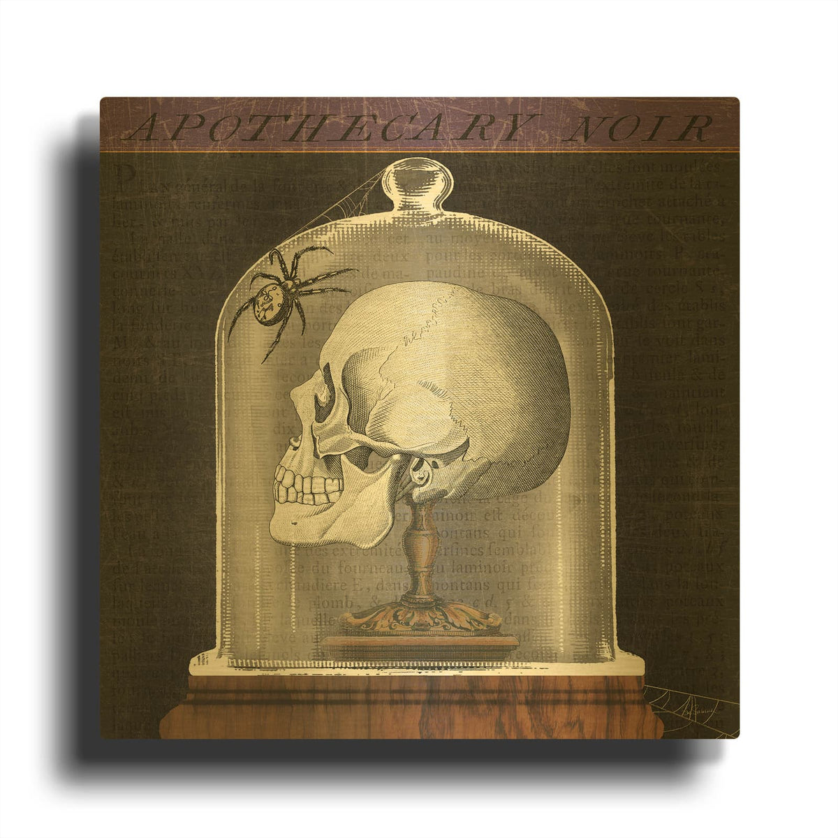 'Apothecary Noir II' By Sue Schlabach Gold Metal Wall Art