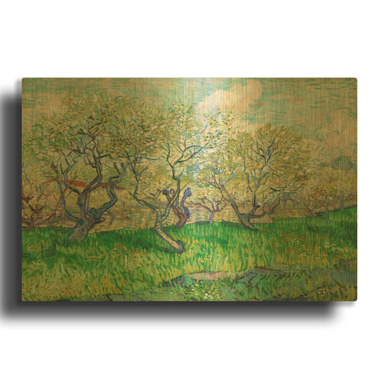 'Orchard In Blossom' By Vincent Van Gogh Gold Metal Wall Art