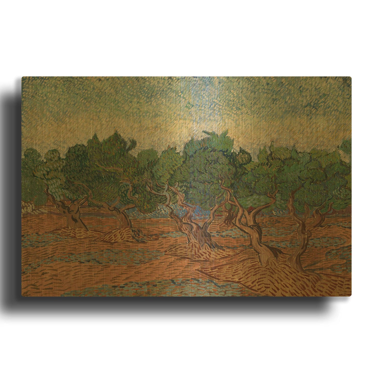 'Olive Grove II' By Vincent Van Gogh Gold Metal Wall Art