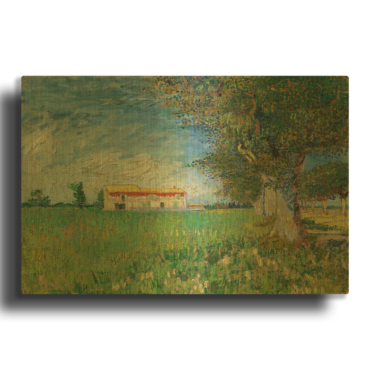 'Farmhouse In A Wheatfield' By Vincent Van Gogh Gold Metal Wall Art