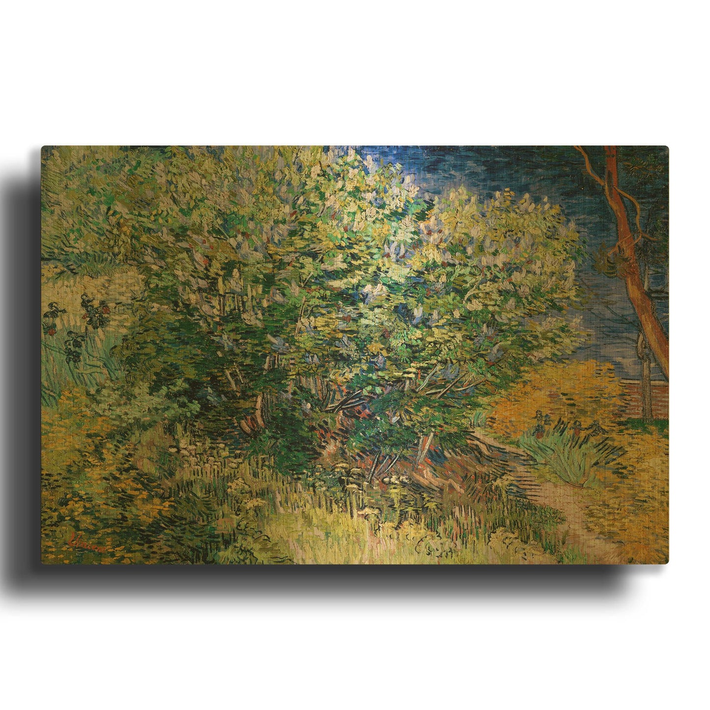 'Lilac Bush' By Vincent Van Gogh Gold Metal Wall Art