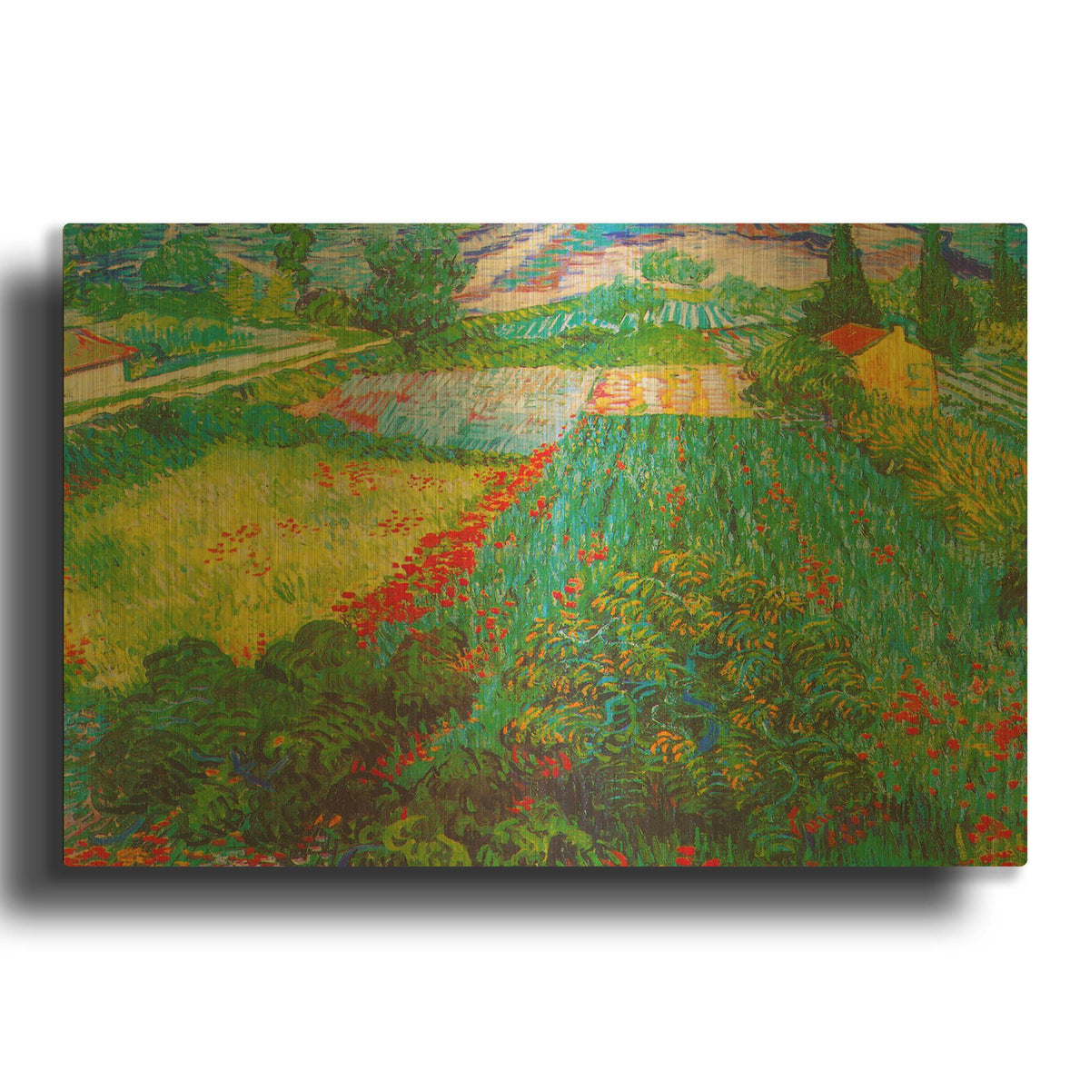 'Field With Poppies 2' By Vincent Van Gogh Gold Metal Wall Art