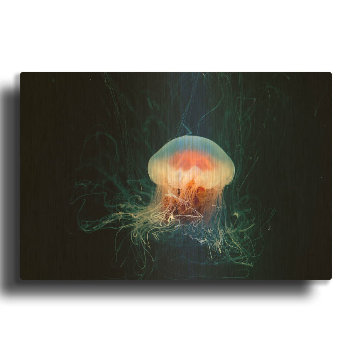 'Blast Off' By Luxe Gold Metal Wall Art