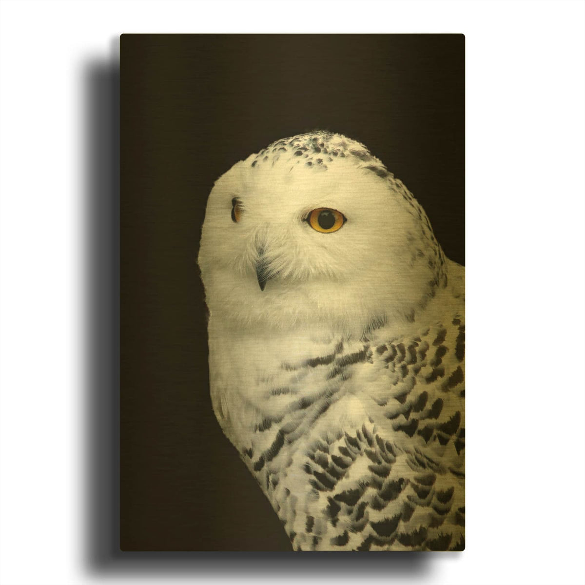 'Snowy Owl' By Luxe Gold Metal Wall Art