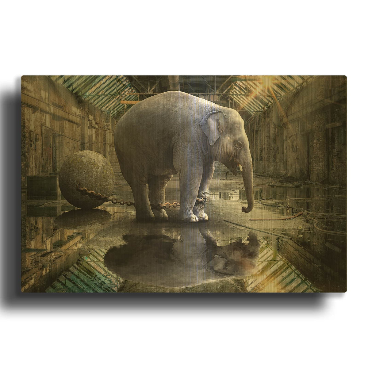'The Big Grey' By Alan Gold Metal Wall Art
