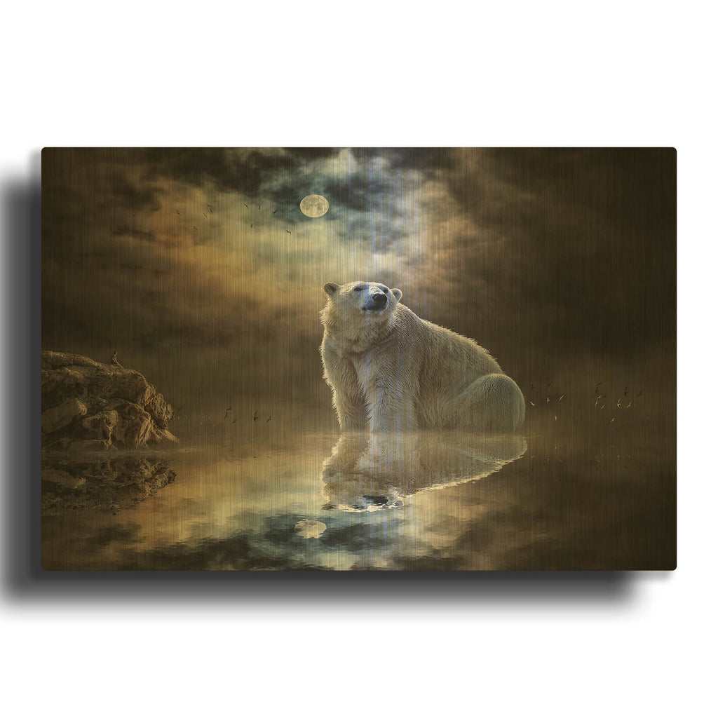 'Polar Bear Reflections' By Alan Gold Metal Wall Art