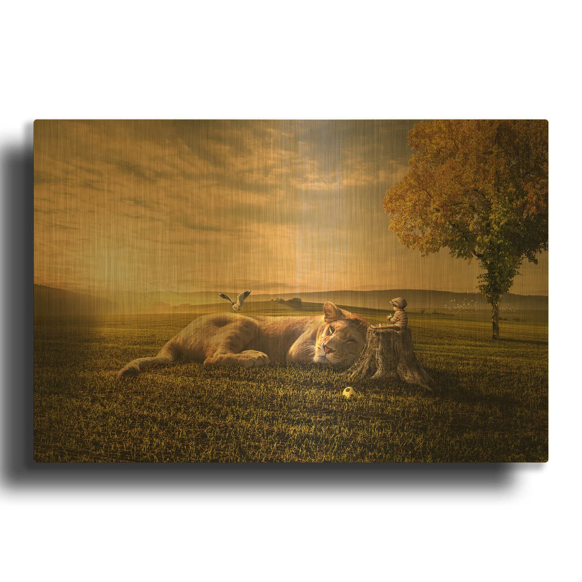 'Sunset Sleeping' By Alan Gold Metal Wall Art