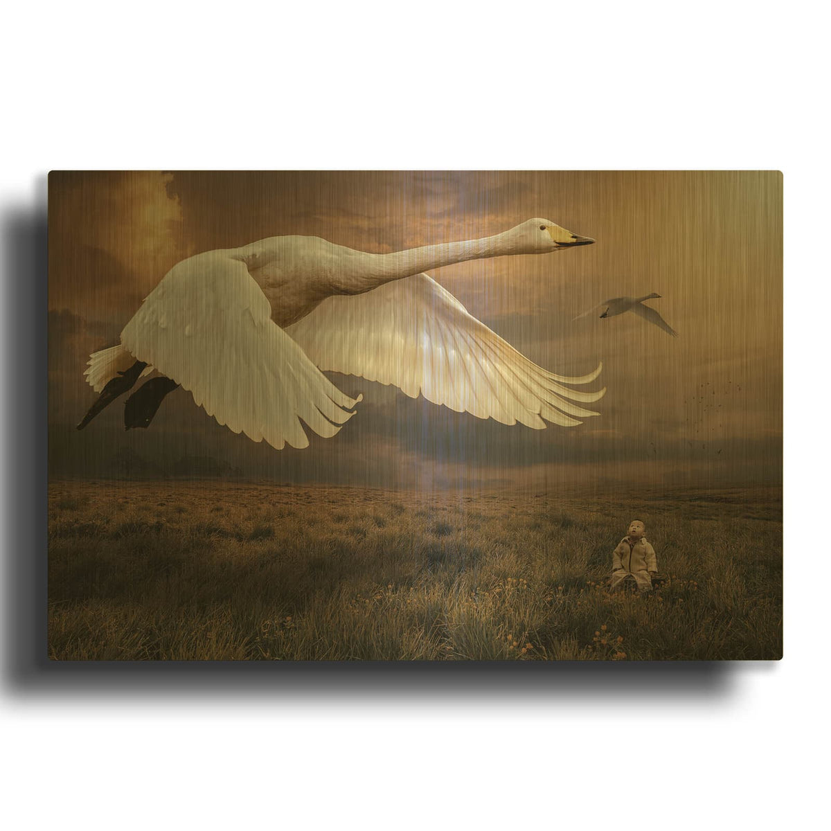 'Take Flight' By Alan Gold Metal Wall Art