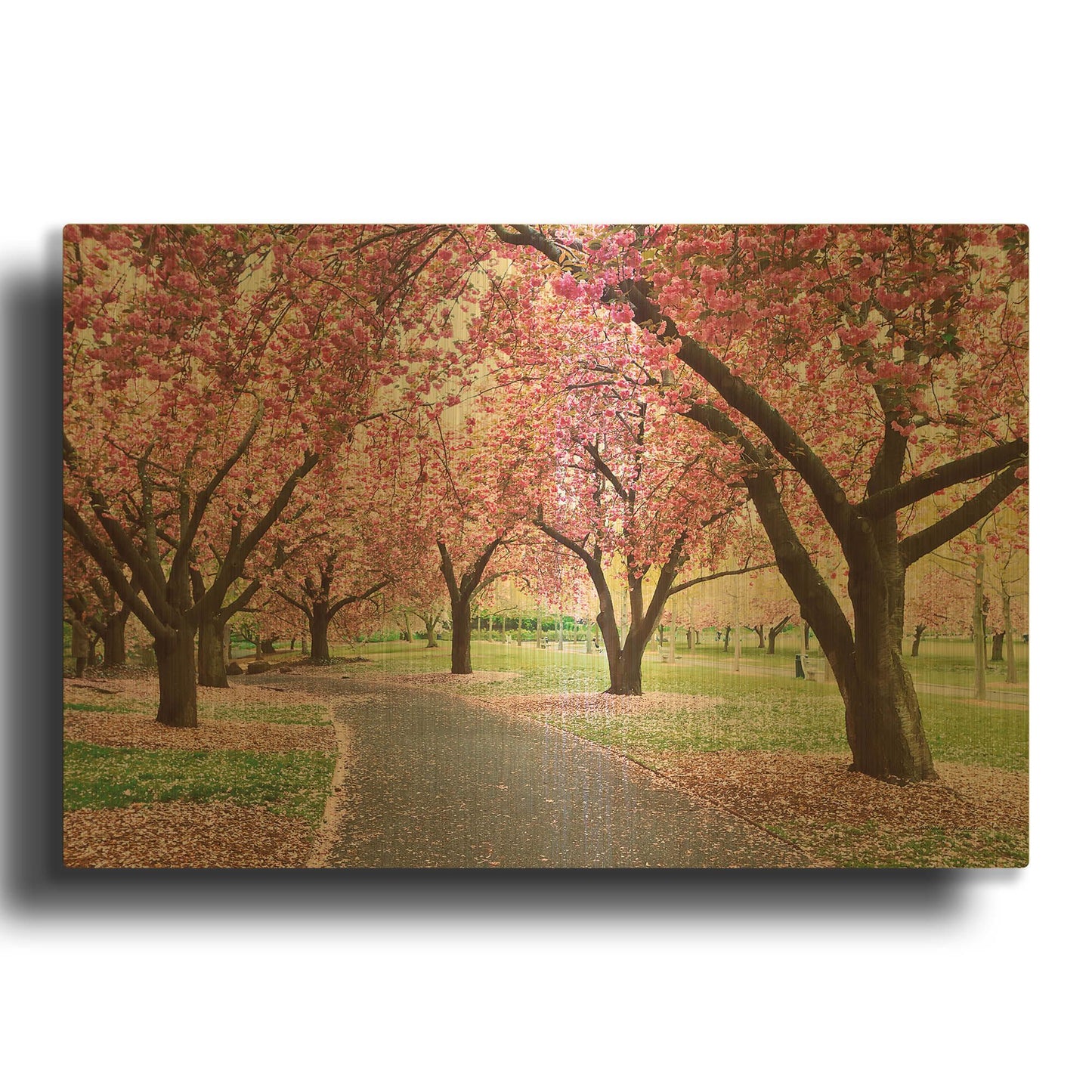 'Cherry Parade' By Kathrine Gendreau Gold Metal Wall Art